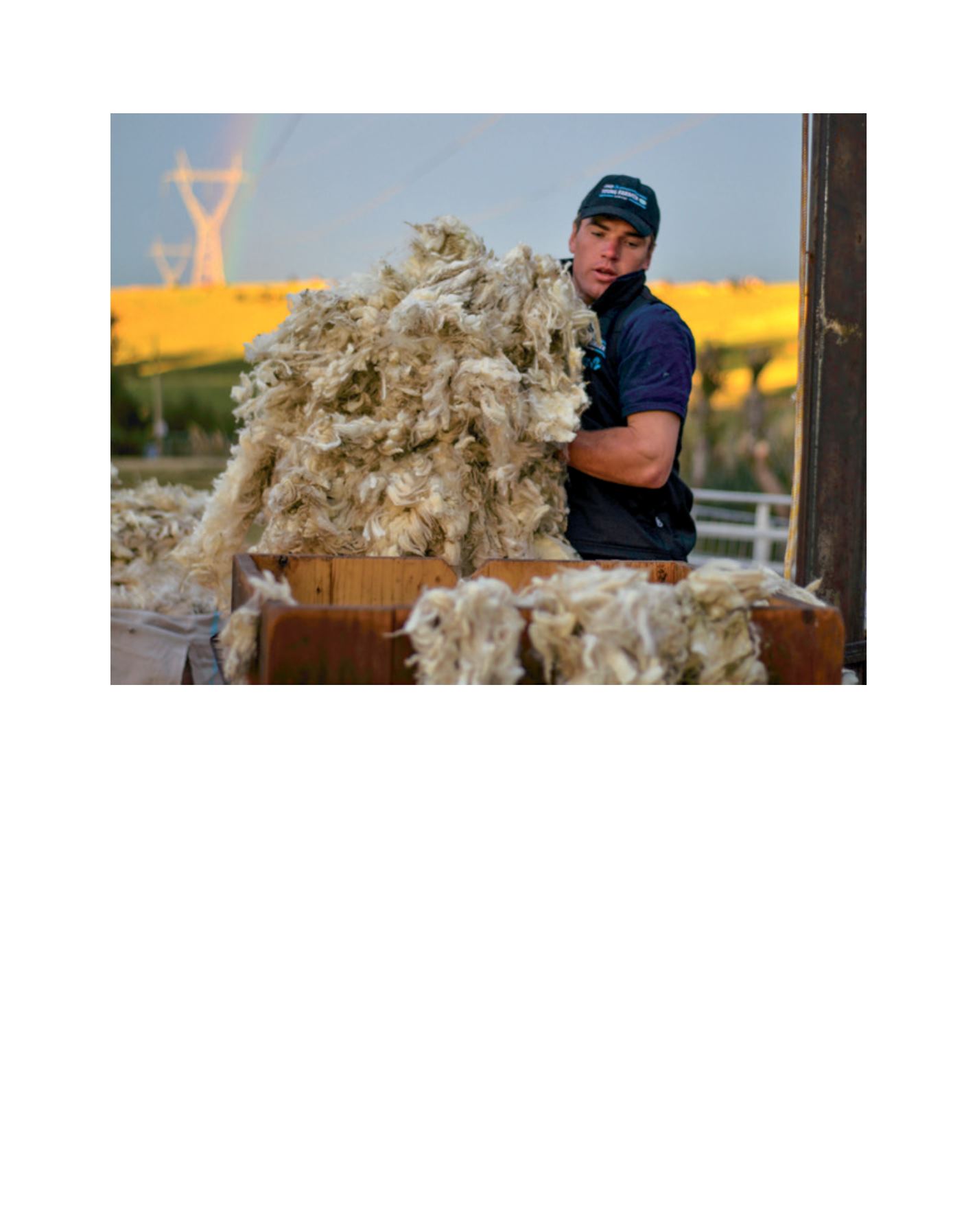 Page Background