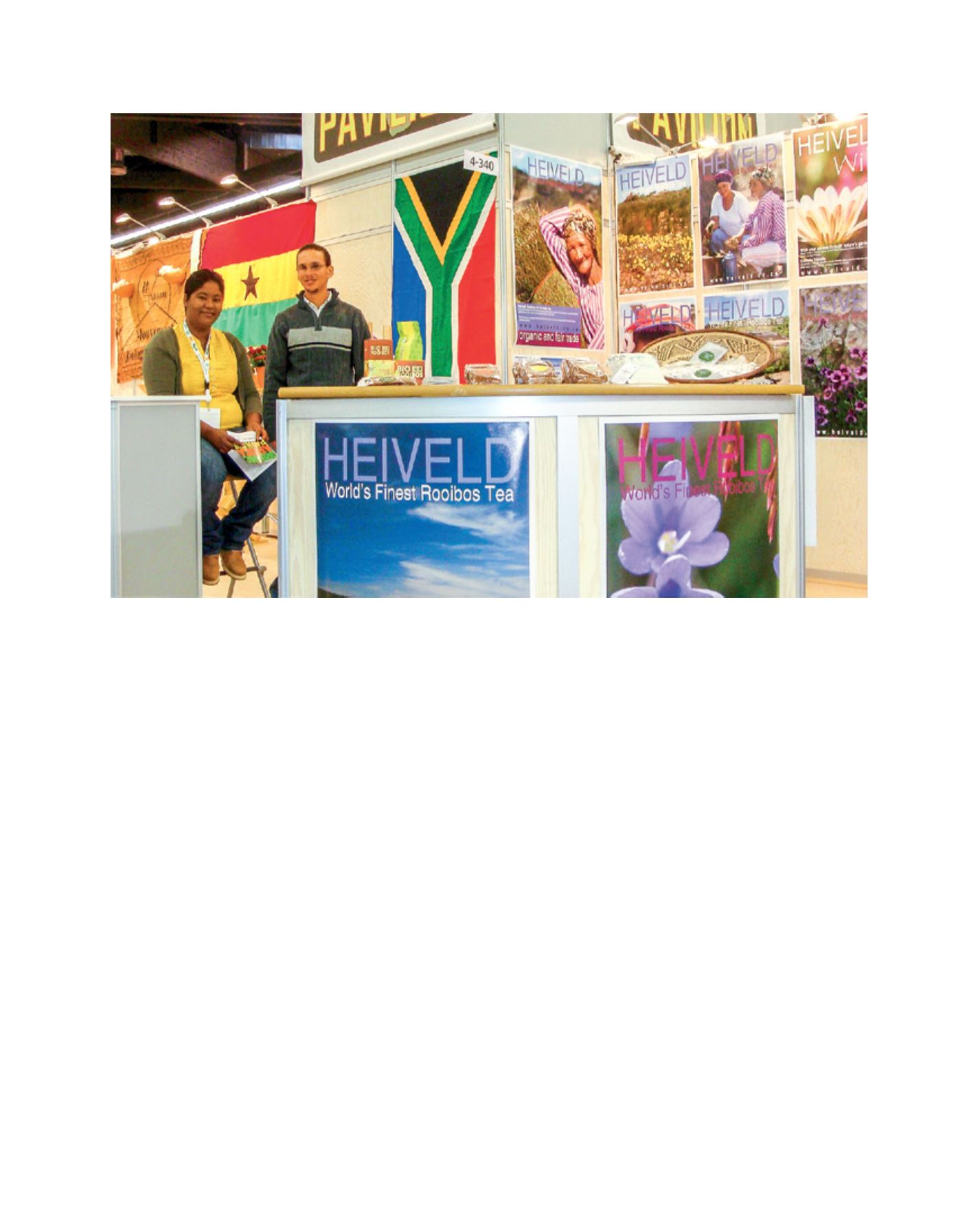 Page Background