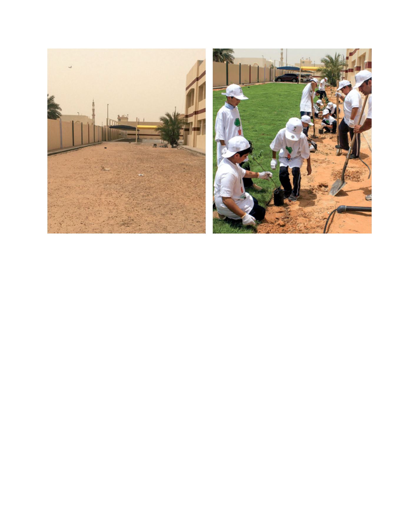 Page Background